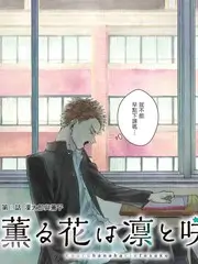 城市漫游指南 综艺免费在线观看